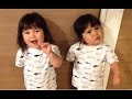 こけこっこの歌？ 2歳11ヶ月の双子姉妹