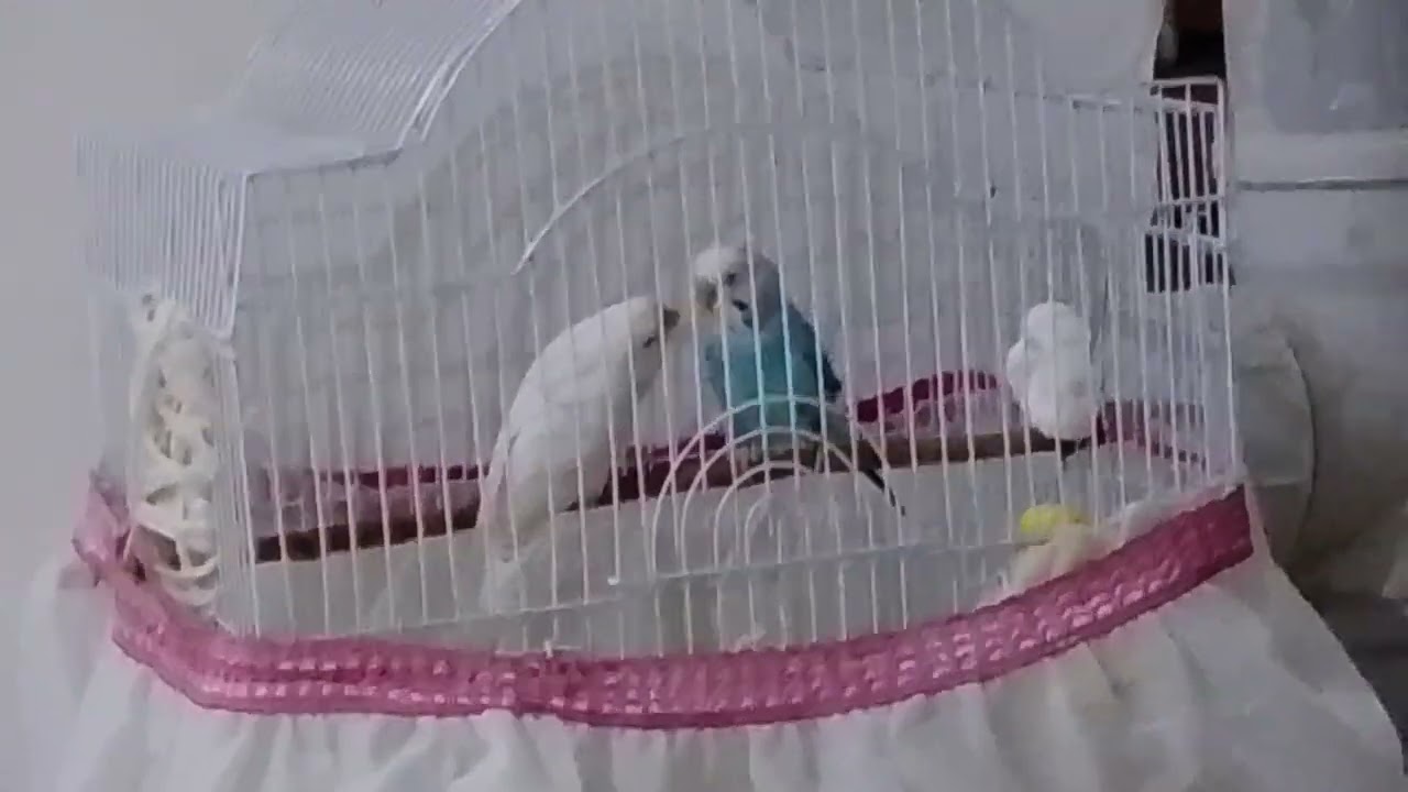 20 февраля 2026 г.