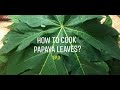 HOW TO COOK PAPAYA LEAVES | PAANO LUTUIN ANG DAHON NG PAPAYA (FULL OF  BENEFITS) | PANLASANG PINOY