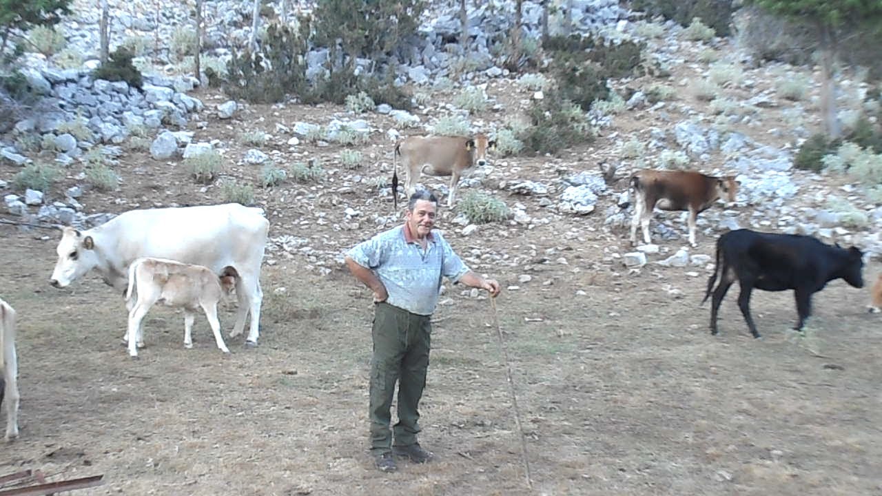 ΖΩΗ ΣΤΗ ΦΥΣΗ