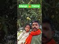 mini vlogs (mango 🥭 Farms) #duet #viral #viralsong #trending #tiktok #trendingshorts #reels #newreel