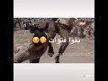 حلات اكشن بويكا 