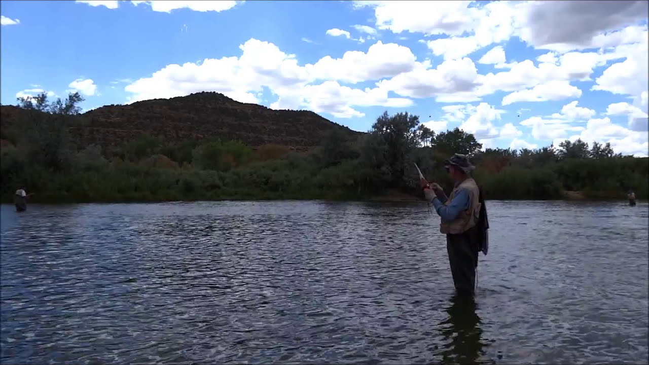 Pocket Fisherman trout fishing YouTube