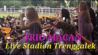 LUNGSET - TRIO MACAN LIVE STADION TRENGGALEK