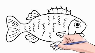 How to Draw a Fish Easy Step by Step