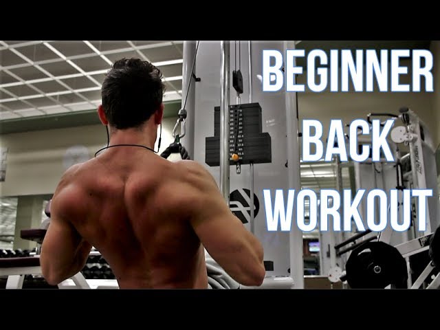 Beginner Back Workout 