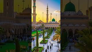 Hamada Helal Mohamed Nabina trending love Lslso Jusyoutube