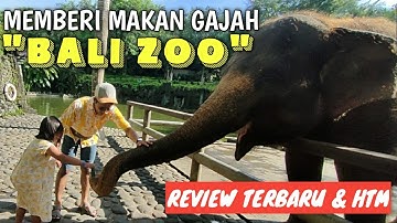 Wisata Keluarga Di BALI ZOO | Kondisi dan HTM Terbaru