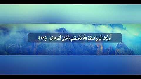 طارق محمد سورة محمد 47