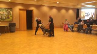 K-9 Demo During 2015 Police Citizens Academy