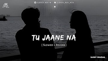 Tu Jaane Na - Lofi (Slowed+Reverb) | Atif Aslam | Lover Boy M | Hindi Songs | Bollywood Lofi