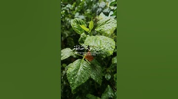 وبشر المخبتين | تلاوة رائعة بصوت المبدع القارئ ياسر الدوسري 💙 #قرآن_كريم #ياسر_الدوسري