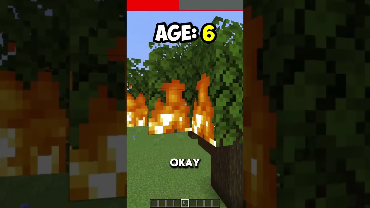 preview_player