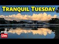 🔴Live: Tranquil Tuesday at Epcot - Walt Disney World Live Stream