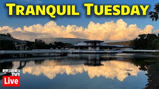 🔴Live: Tranquil Tuesday at Epcot - Walt Disney World Live Stream