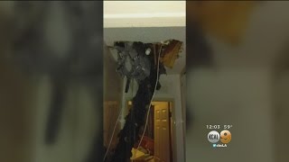 20-Foot Pine Tree Branch Falls Into Anaheim Home