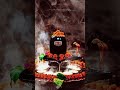 #bholenath #harharmahadev #shiv #kedarnath #ujjain #mahakaleshwar #omnamahshivaya #india #lordshiva