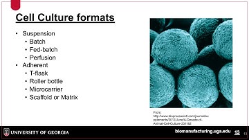 Introduction to Cell Culture