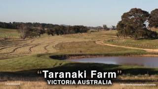 05   Falloon's Taranaki Farm