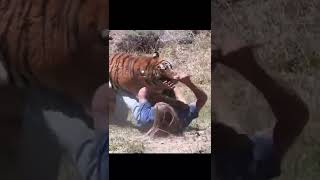Having Fun With Tiger