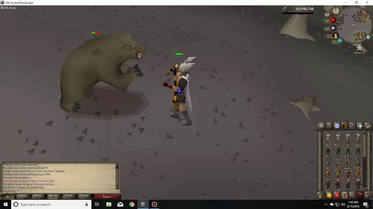 Wilderness slayer Bears YouTube
