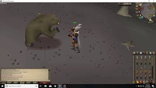 Wilderness slayer: Bears