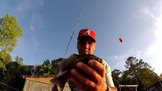 Spring Bluegill Fishing 2018