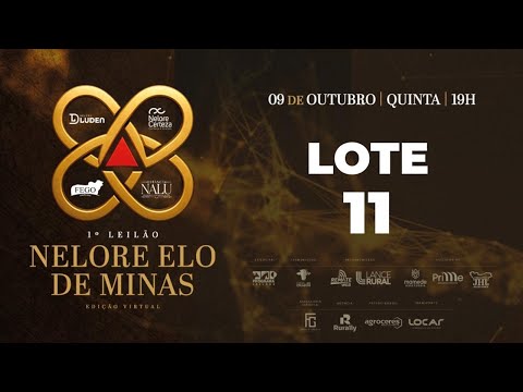 LOTE 11 FEGO 66