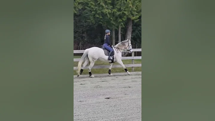 Mattea's Arena Video