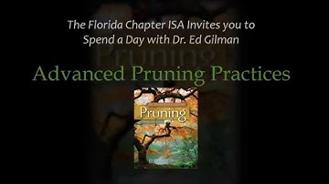 Advanced Pruning 2014