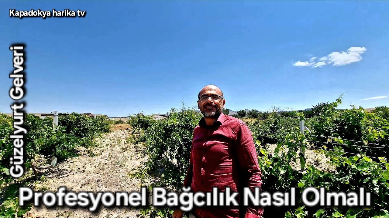  Aksaray Güzelyurt ta Ramazan Duysak Profesyonel Bağcılık Hakkında güzel bilgiler verdi teşekkürler 