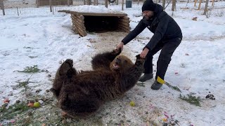 В гостях у Кирилла Потапова и его животных. Часть 1: волки и медведи