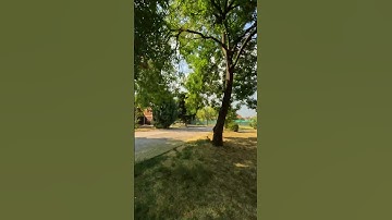 Split-S with Nazgul5 v2 | GoPro 11 Black Mini #shorts