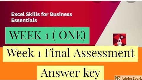 Excel skills for business essentials week 1 assessment answer key of coursera course| excel solution