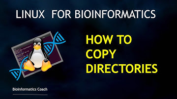 Linux for Beginners in Bioinformatics | How to copy files and directories (cp  & cp -r )