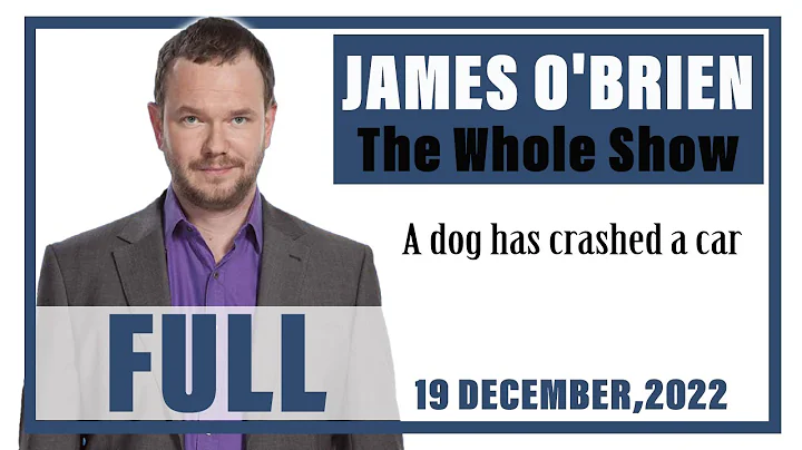 James O'Brien - The Whole Show: A dog has crashed ...