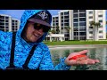 Fishing with Live SHRIMP The EASIEST Way To Catch Saltwater Fish + Insane Day of Fishing