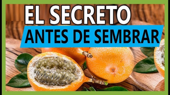 Hola.!! Amig@s, ya - Tierrita Santa de Chalma Para Comer