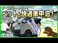 【ペットと一緒に車中泊！】ワンちゃん思いなオリジナルレイアウト 施工事例：L-25-02