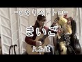 まいご / 久石譲～ジブリ となりのトトロ (クラシックギターソロ) [ Maigo /Joe Hisaishi (Fingerstyle solo guitar) ]