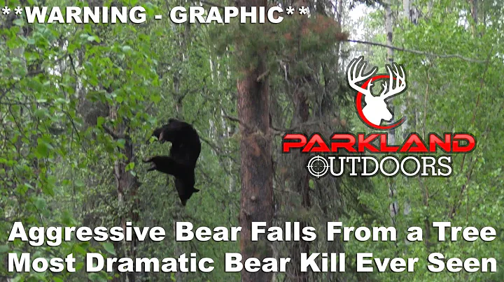 Aggressive Bear Falls From a Tree **WARNING - GRAPHIC**  Most Dramatic Bear Kill Ever Seen