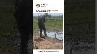 Meu maior arrependimento foi não ter seguido essa página antes 🤣 🤣