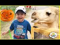 Ryan's Trip to the Farm with 1hr kids activities Rides and animals!!!