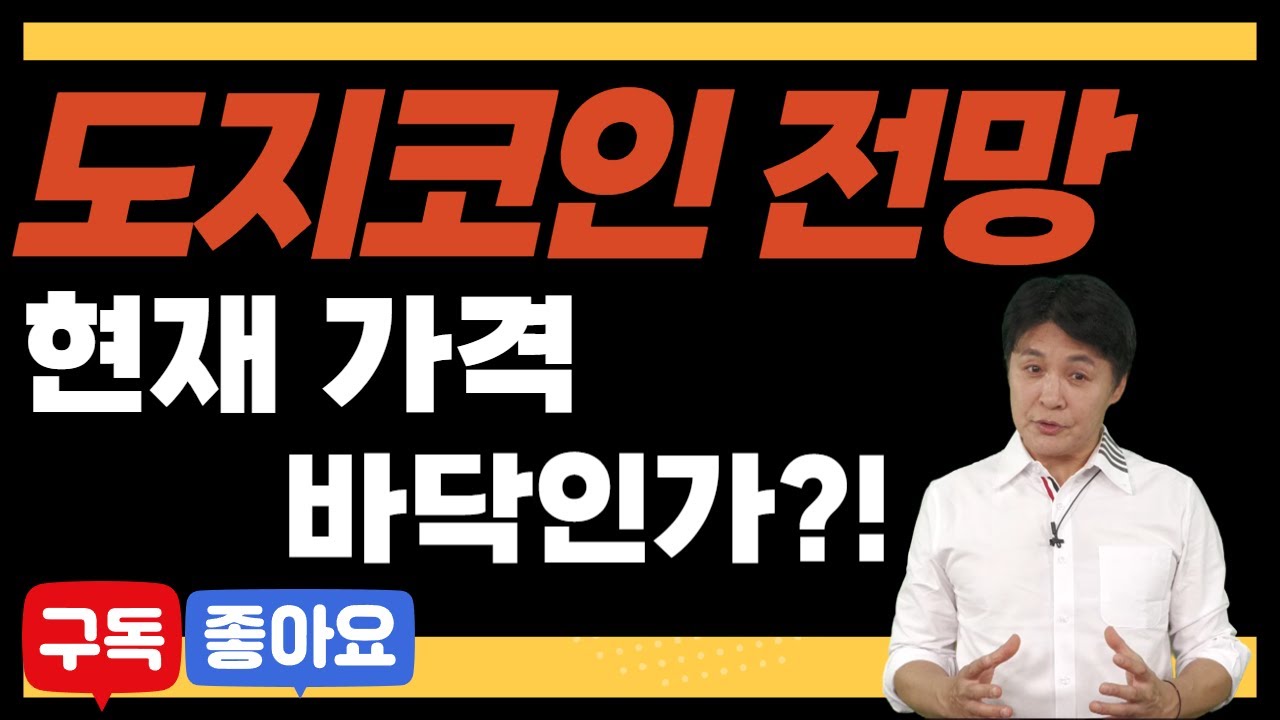 [머니플로우] 도지코인 전망 바닥일까? │ 브라이언김, 코인, 암호화폐, 도지코인, 전망