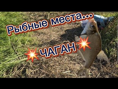 РЫБНЫЕ 🐟МЕСТА🐠 ЧАГАН 🇰🇿 Уральск #уральскаядама