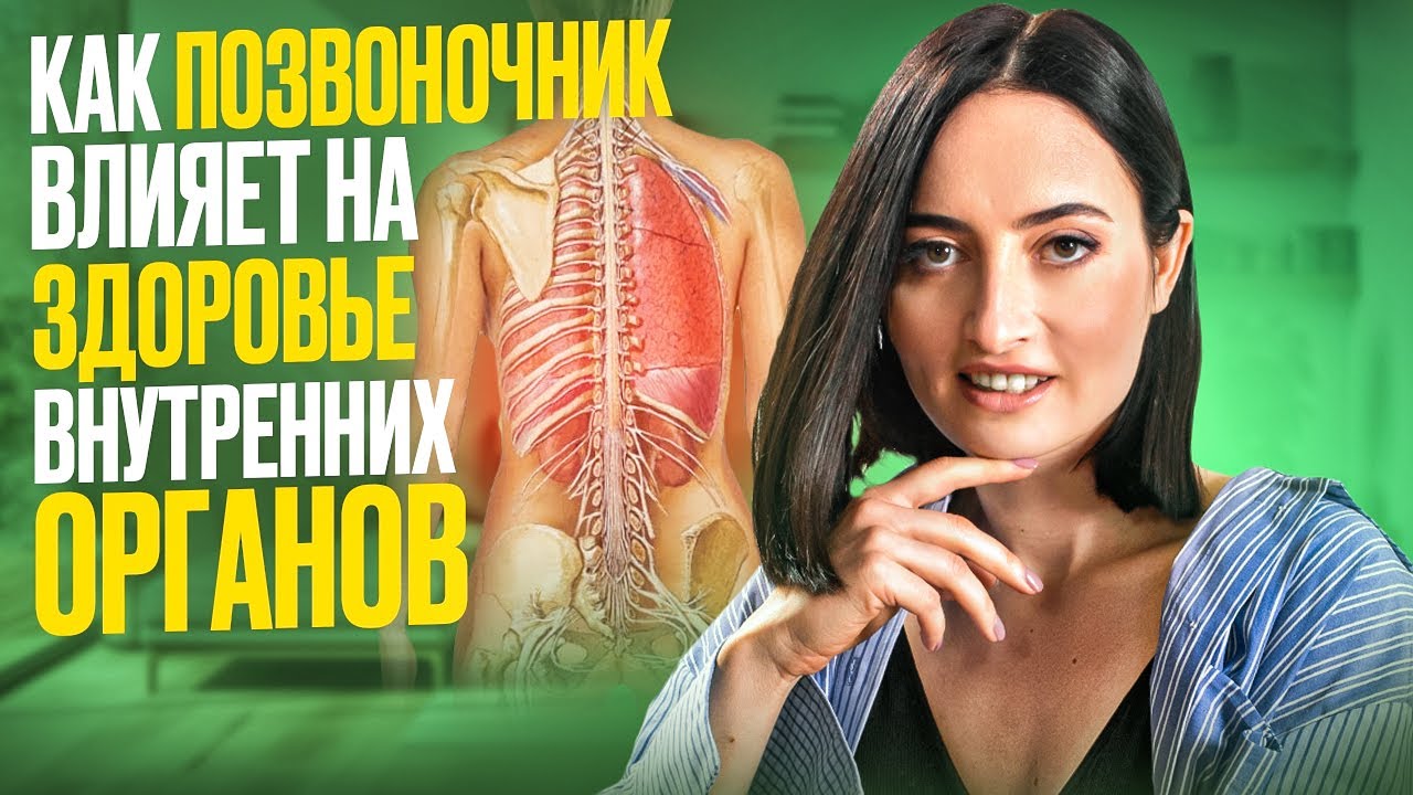Как позвоночник влияет на здоровье внутренних органов, мышцы тазового ...