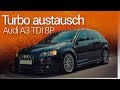 CruiseCrew - Turbolader tauschen | Audi A3 2.0 TDI 8P - Walnuss strahlen - Zahnriemenwechsel