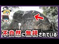 【ゆっくり解説】日本六甲山の古代遺跡 カタカムナ文明の真実と人類の未来【都市伝説】