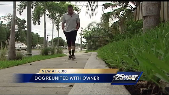 Dog stolen a year ago reunited with owner days before euthanization