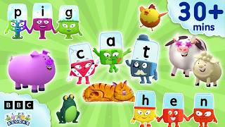 let s spell cat other animals learn read spell kids compilation